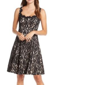 Eliza J Black/Nude Lace Fit and Flare Dress.  Sz 14.  Worn once!